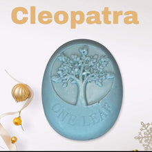 Load image into Gallery viewer, Solid Shaving Bar Scented with her in mind