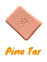 Load image into Gallery viewer, Solid Shampoo Bar in Gent Scents