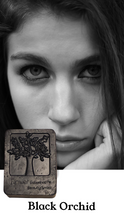 Load image into Gallery viewer, Activated Charcoal infused Facial Soap Bar