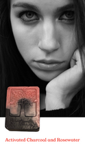 Load image into Gallery viewer, Activated Charcoal infused Facial Soap Bar
