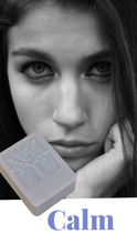 Load image into Gallery viewer, Facial Soap Bar with Cleansing Clays