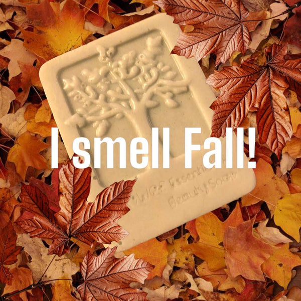It’s Fall y’all!