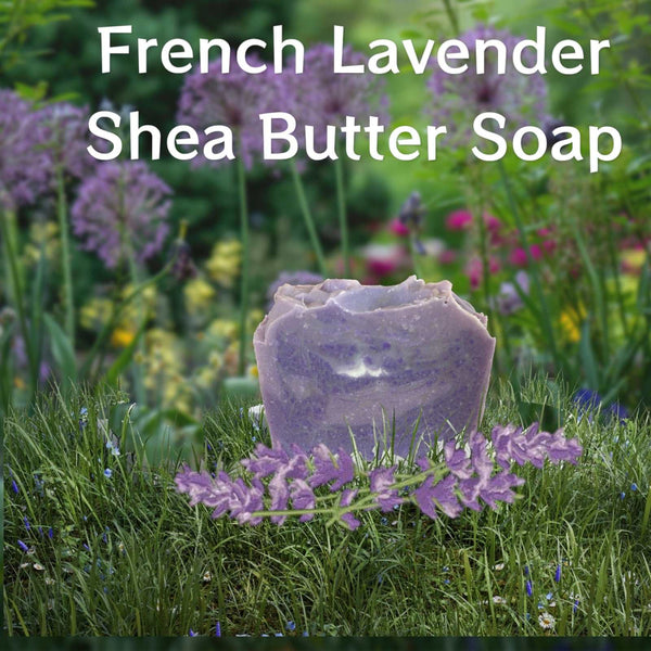 Luxurious French Lavender Shea Butter Soap Bar