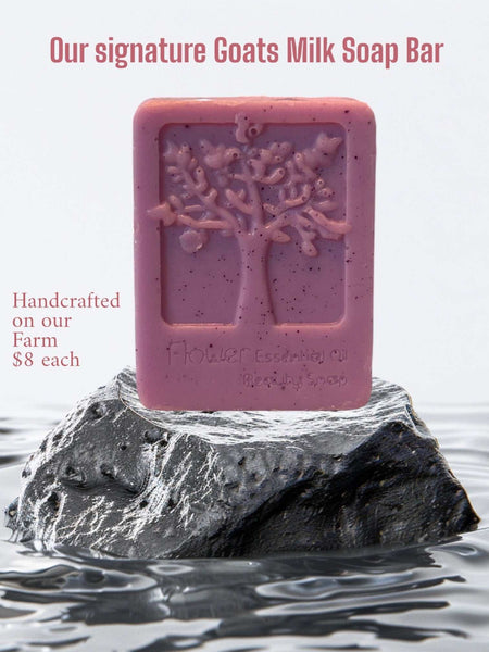 Our Signature Goats Milk Soap Bar. Choose your scent