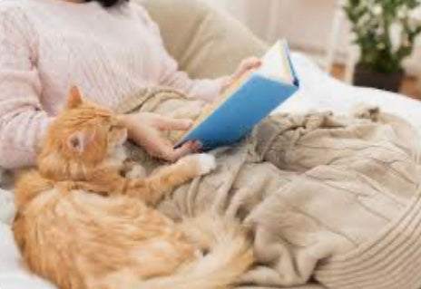 Welcome to National Comfy Day