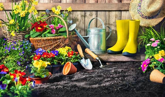 Its National Gardening Day