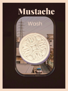 Mustache Wash Bar. Love your Stache!